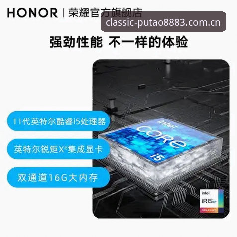 老板新葡萄2025版安卓版 vs 8883官网版：哪款更适合你的技术需求？