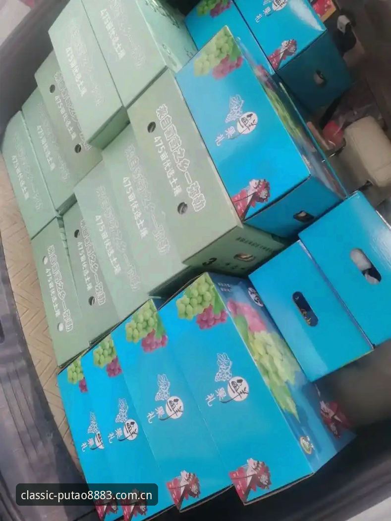老板新葡萄正版特色常见问题 老板新葡萄正版特色常见问题详解:从下载到体验的完整指南